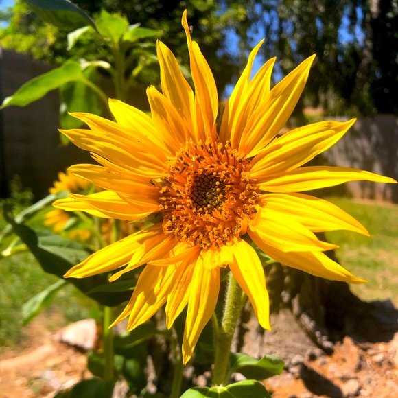 Meet your Posher, Mary - Picture 1 of 1